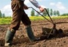 Сумма переписью:  В России пересчитают поля, сады, фермерские хозяйства и грядки